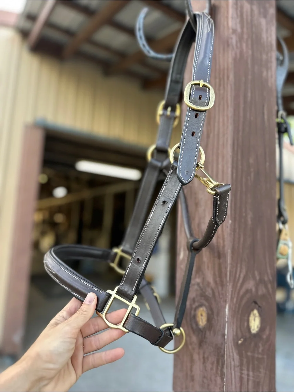 Brown Leather Horze horse Halter with White Stitching - Picture 2 of 8